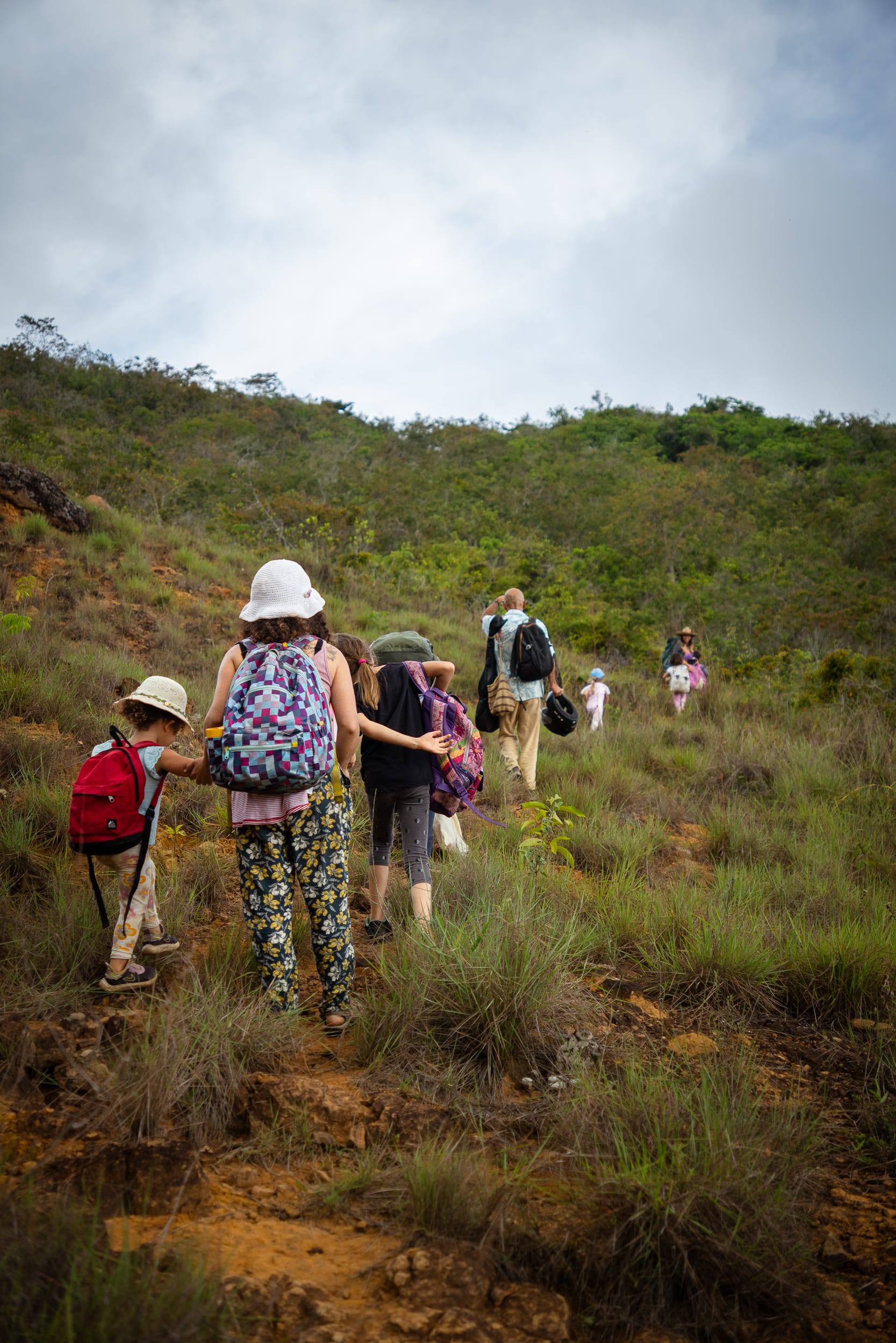 World School Program | Sueños del Bosque